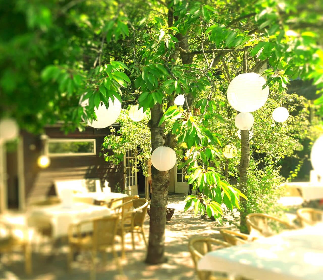 De Witte Kater locatie verhuur zaalverhuur trouwlocatie